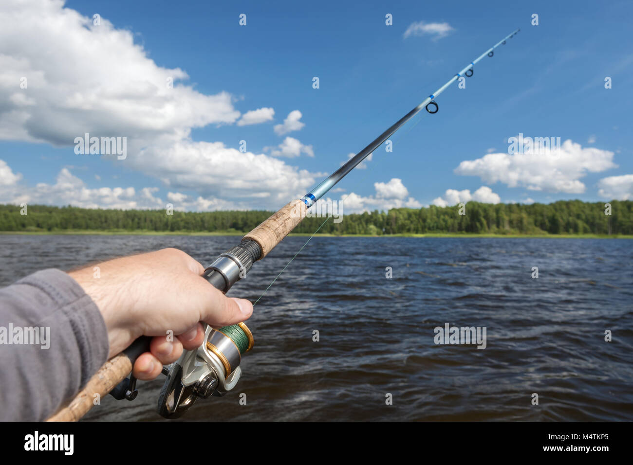 the forest fishing rod