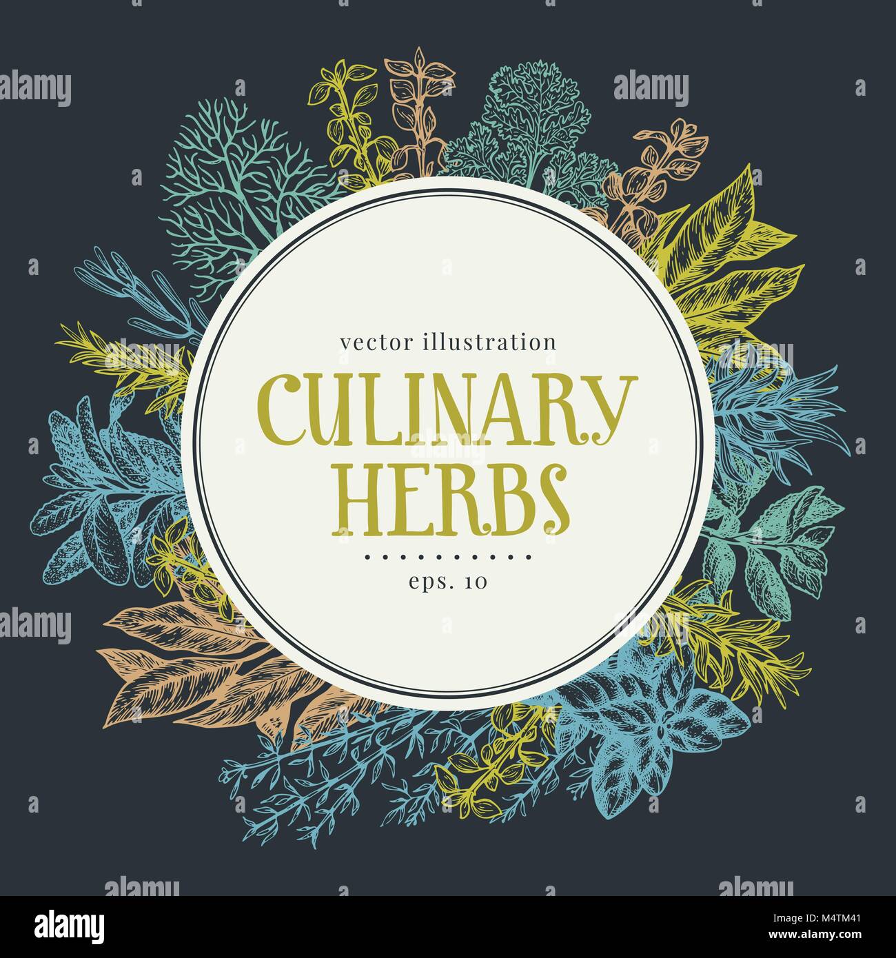 Hand drawn frame with culinary herbs and spices. Vector background for design menu, packaging, recipes, label, farm market products. Hand drawn vintage illustration. Botanical banner template. Stock Vector