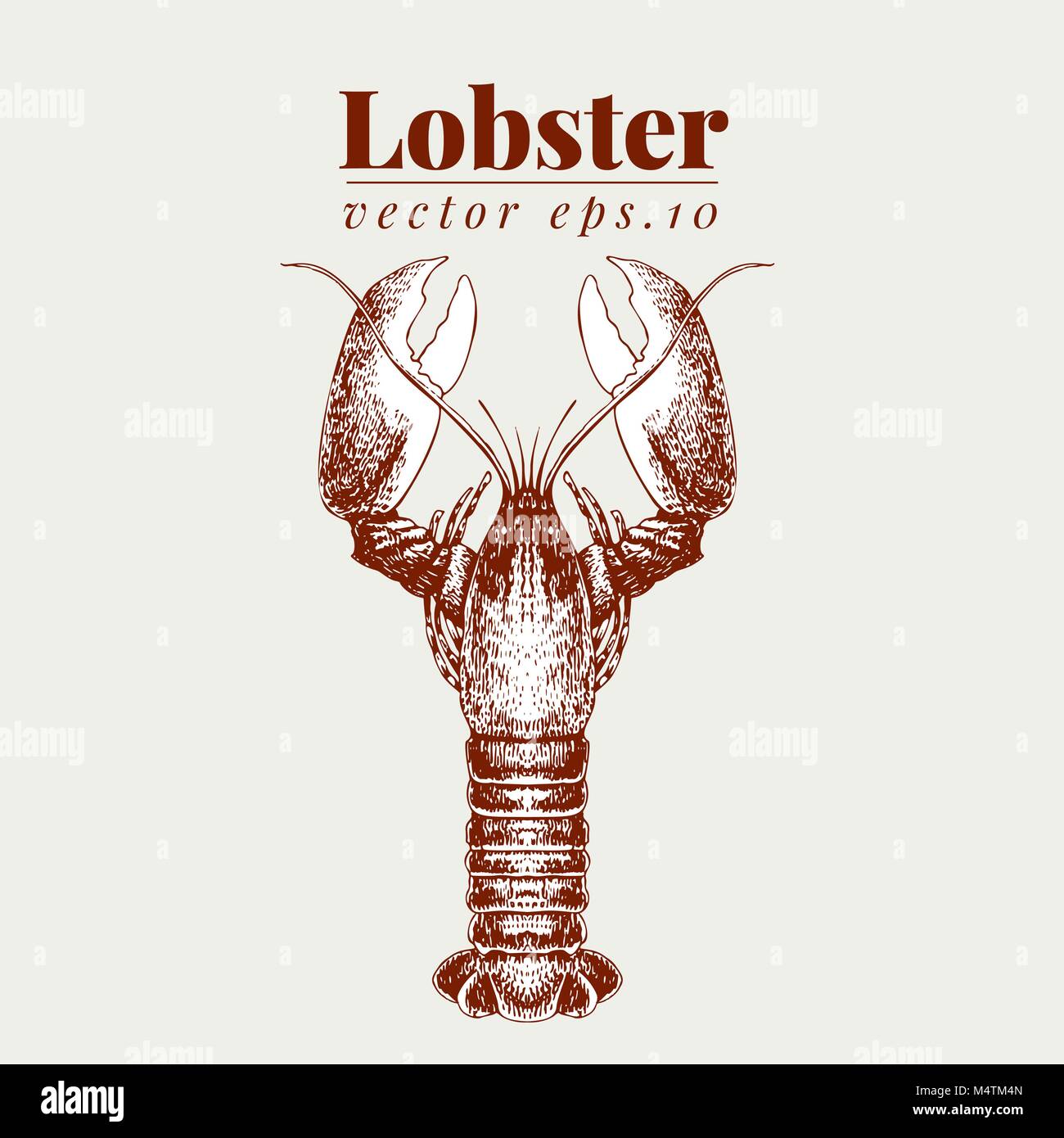 Vector seafood illustration. Lobster retro lillustration. Hand drawing sketch omar. Can be use for restaurant menu, kitchen design, paper, wrapping, fabrics. Stock Vector