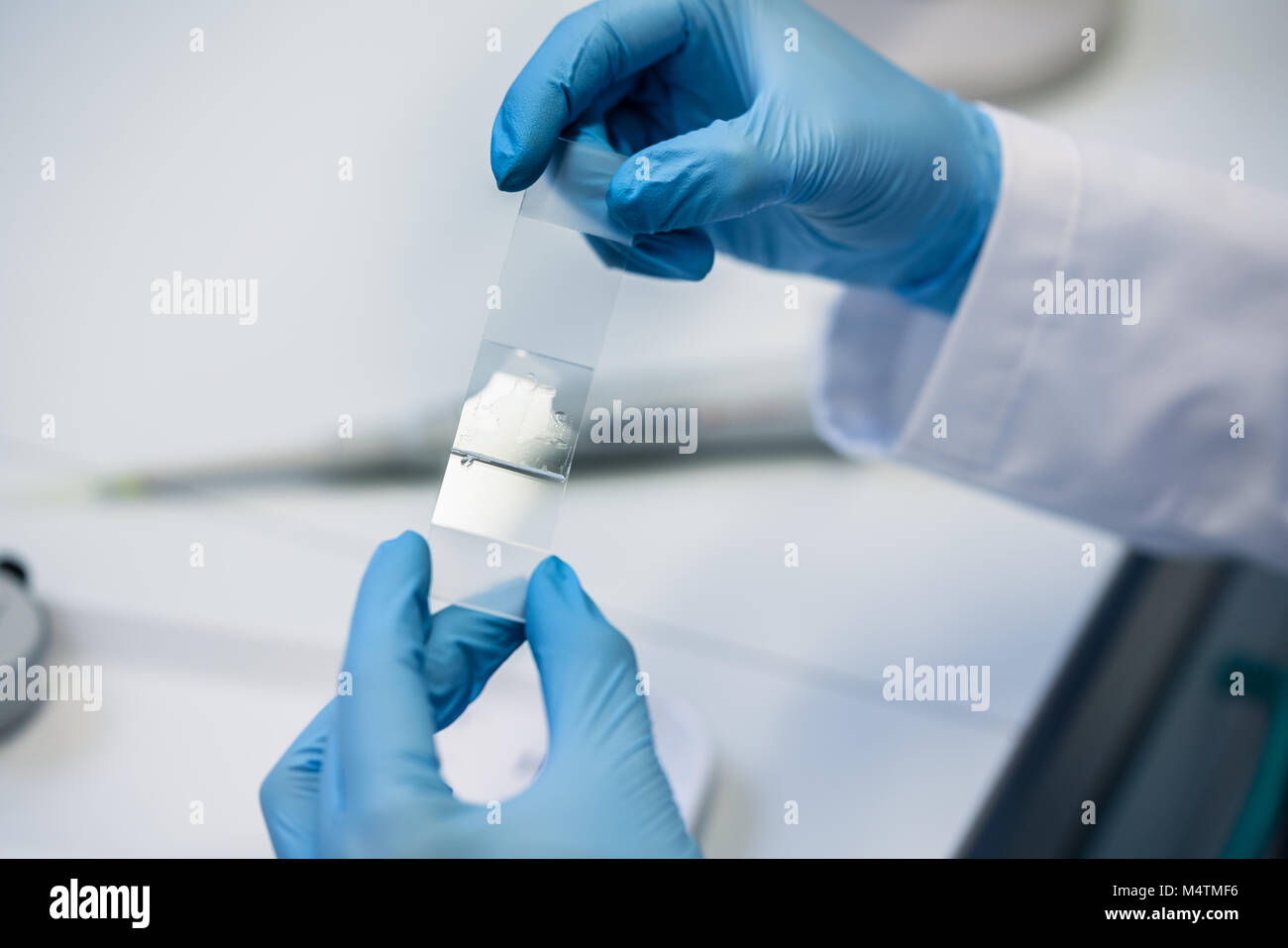 Lab assistant preparing microscope slide for scrutiny Stock Photo