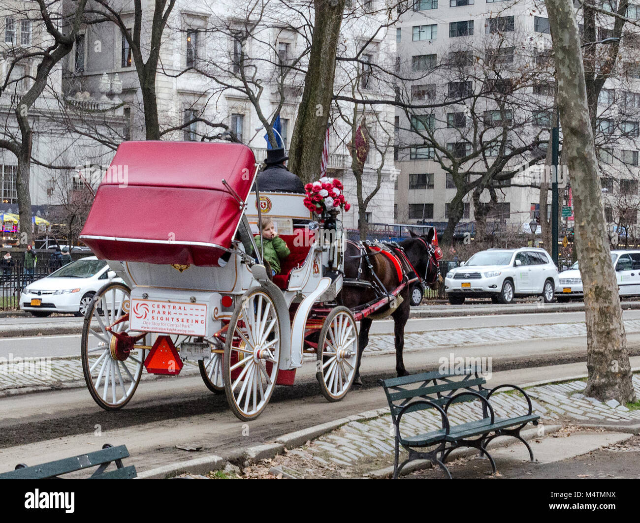 Horse and carriage central park hi-res stock photography and images - Alamy