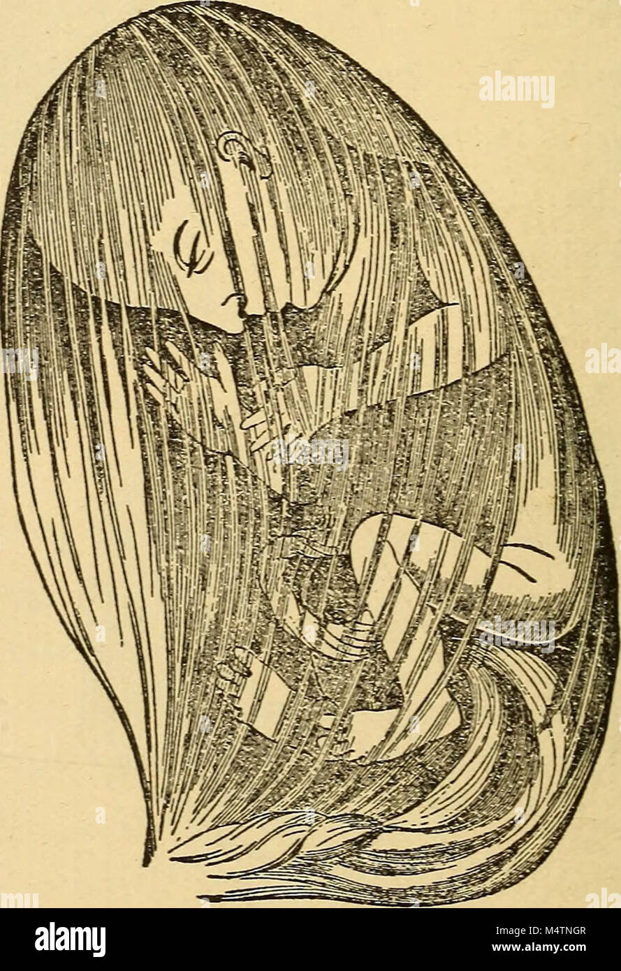 "Feminology; a guide for womankind, giving in detail instructions as to