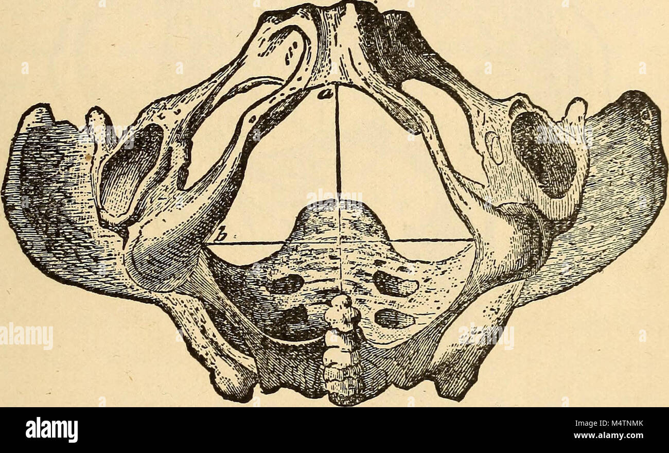 "Feminology; a guide for womankind, giving in detail instructions as to