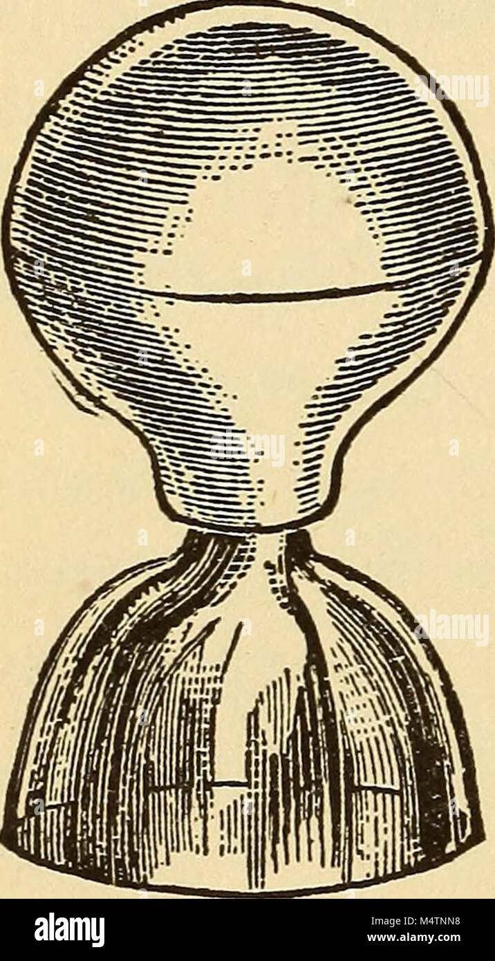 "Feminology; a guide for womankind, giving in detail instructions as to