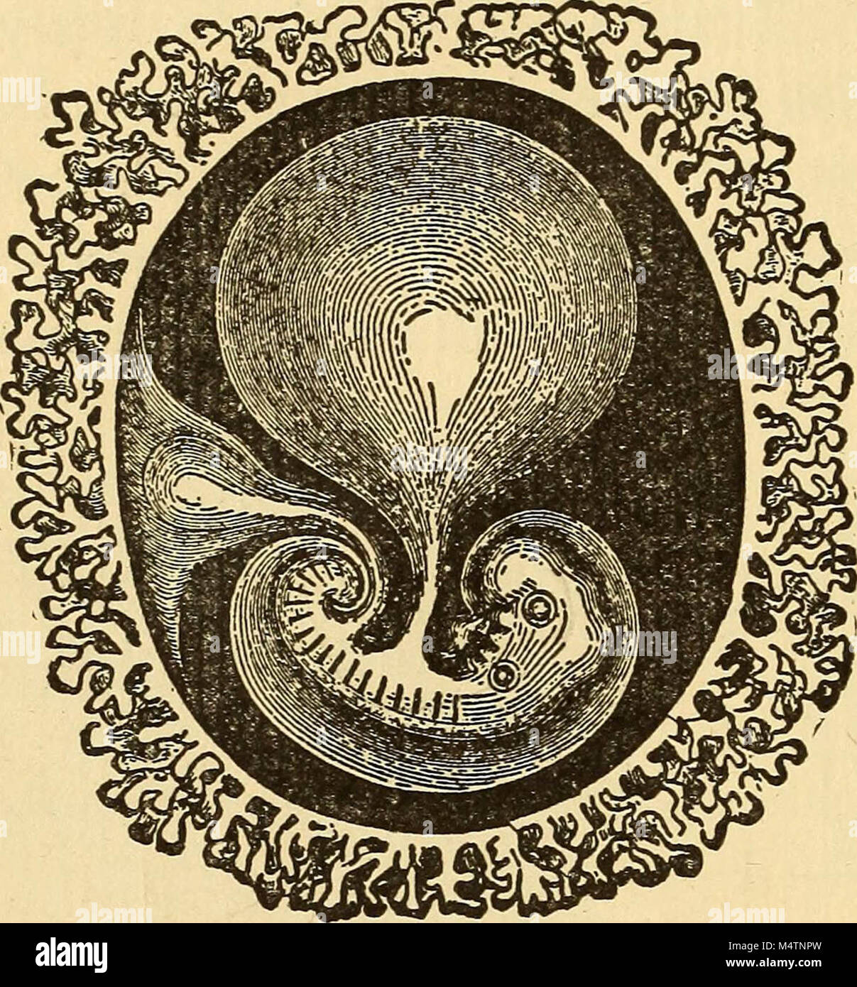 "Feminology; a guide for womankind, giving in detail instructions as to