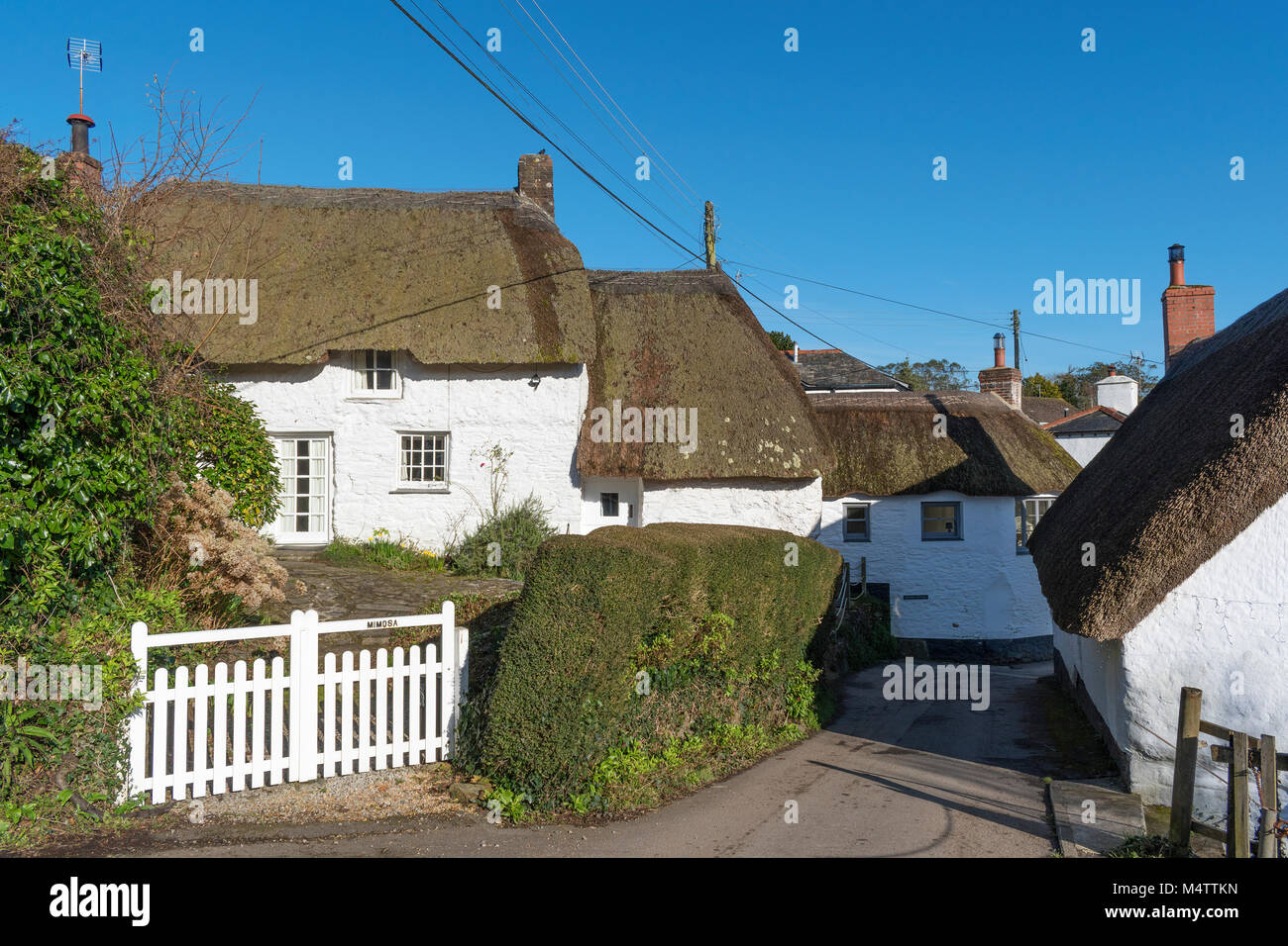 thatched cottages in helford village, cornwall, england, britain, uk. Stock Photo