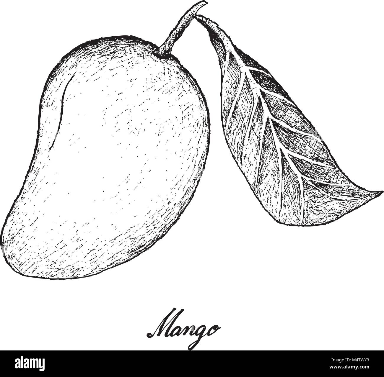 Update 78+ sketch image of mango best