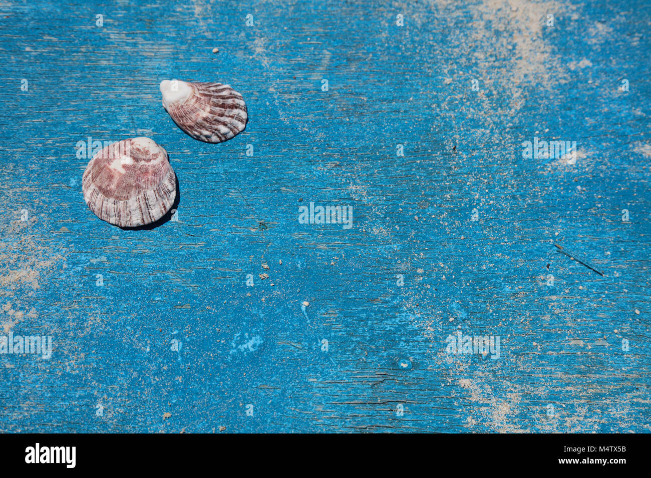 Sea shells on a deck of an old blue wooden boat, Boracay Island