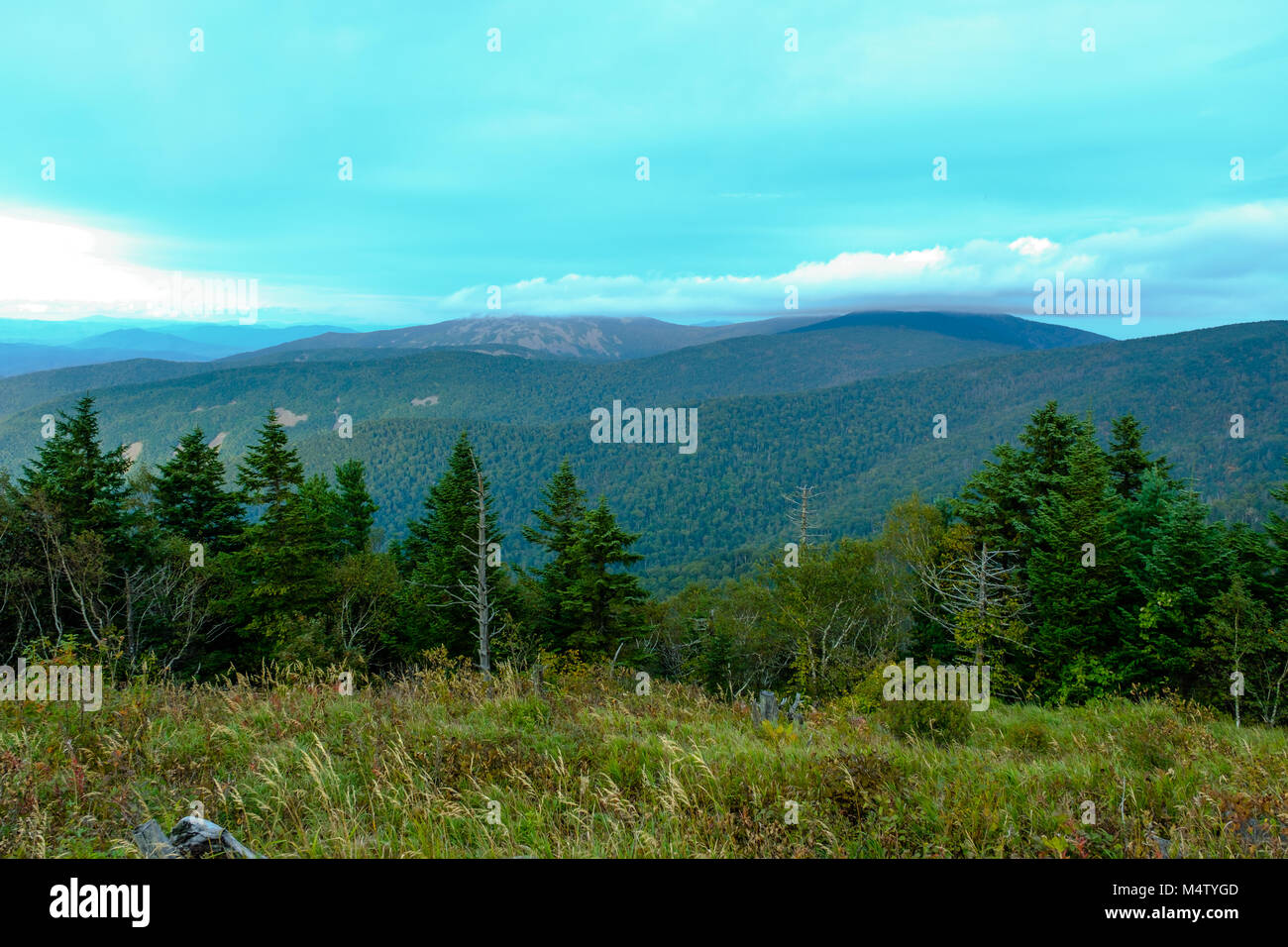 Wooded Ridges View on the wood, ridges and the sky Stock Photo - Alamy
