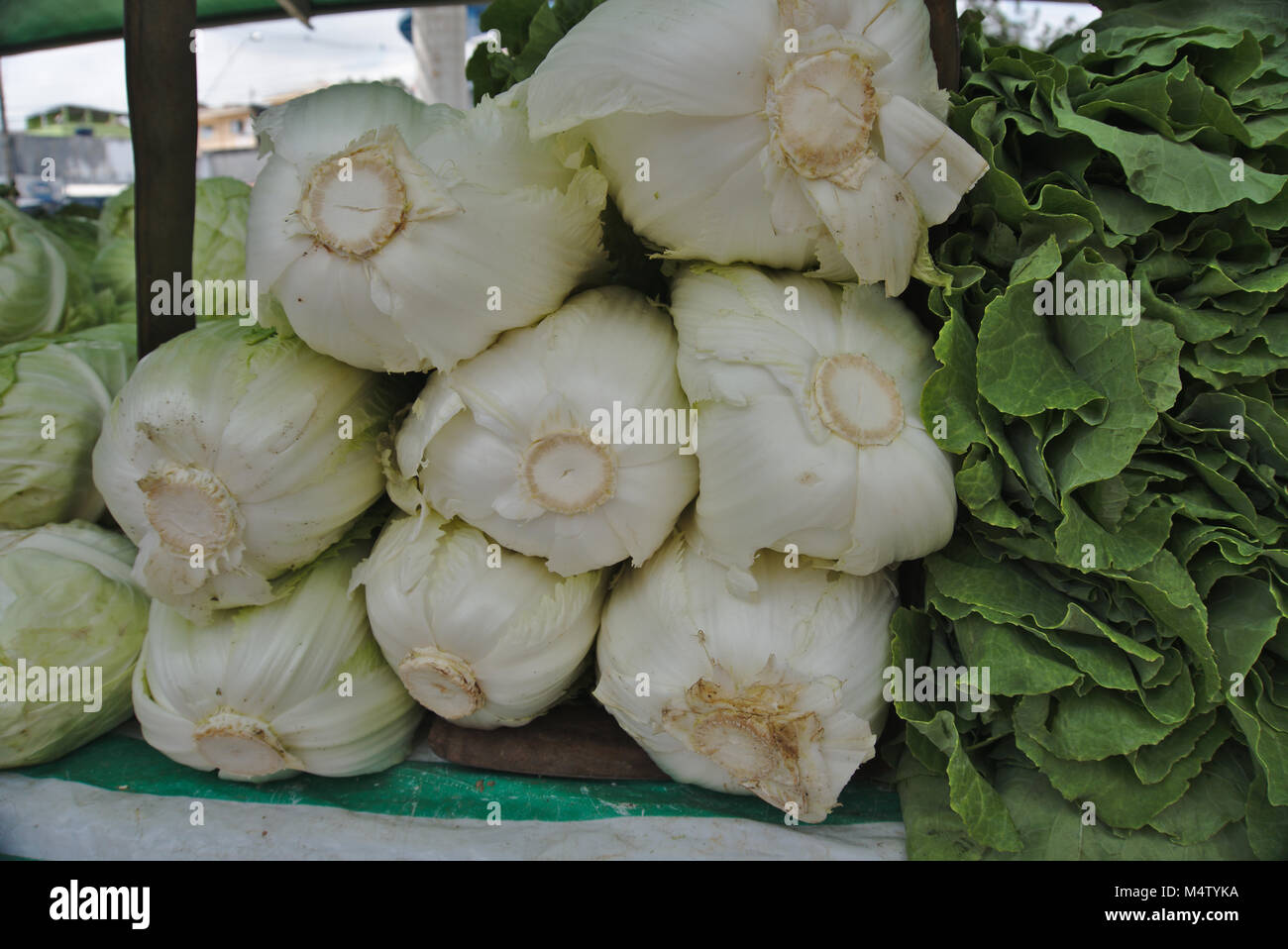 Cabbage at a farmers market stall. Stock Photo
