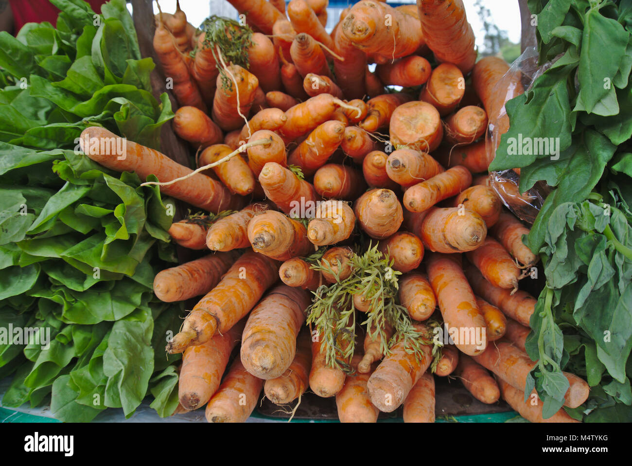 Carrots at a farmers market stall. Stock Photo