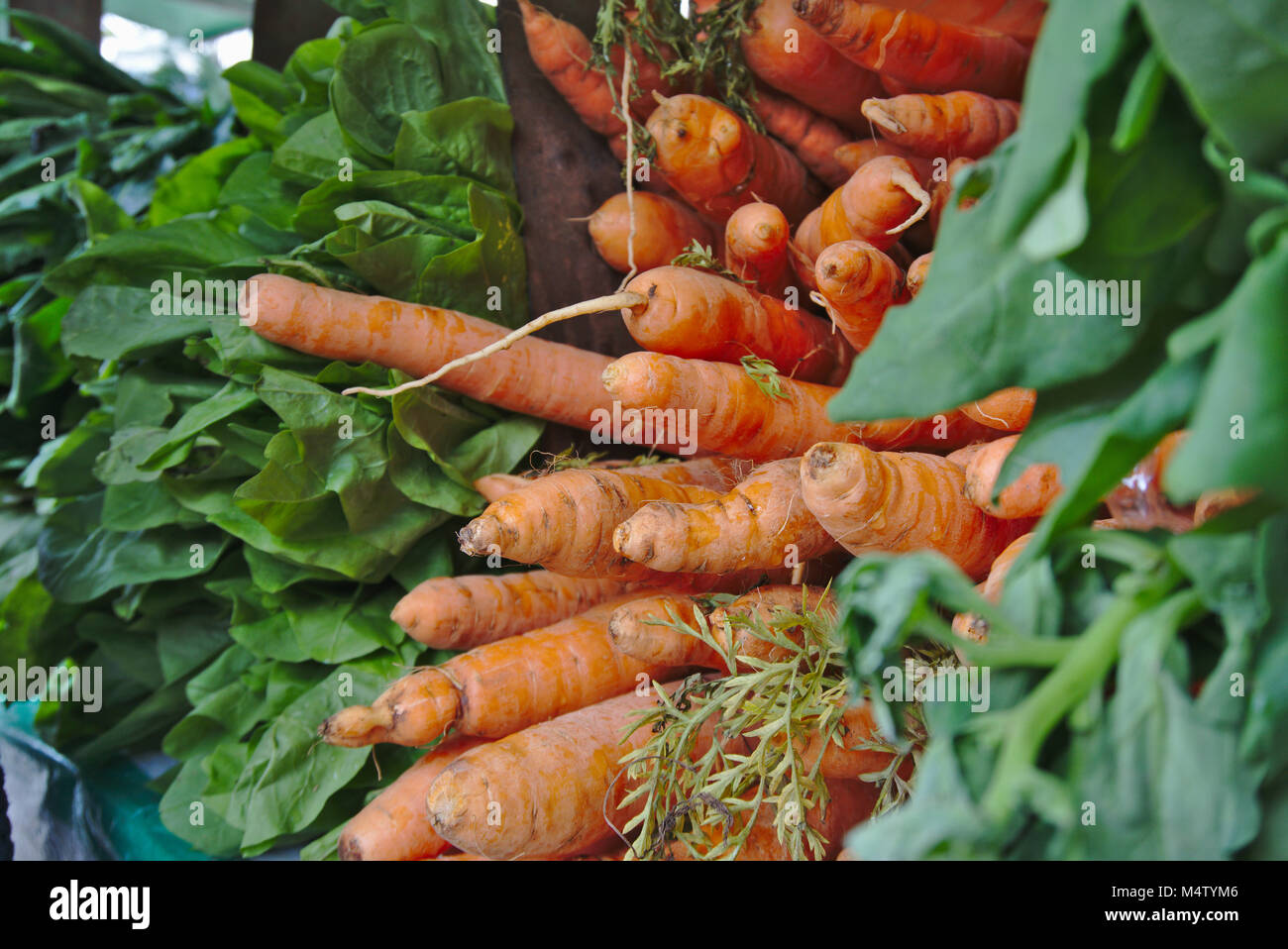 Carrots at a farmers market stall. Stock Photo