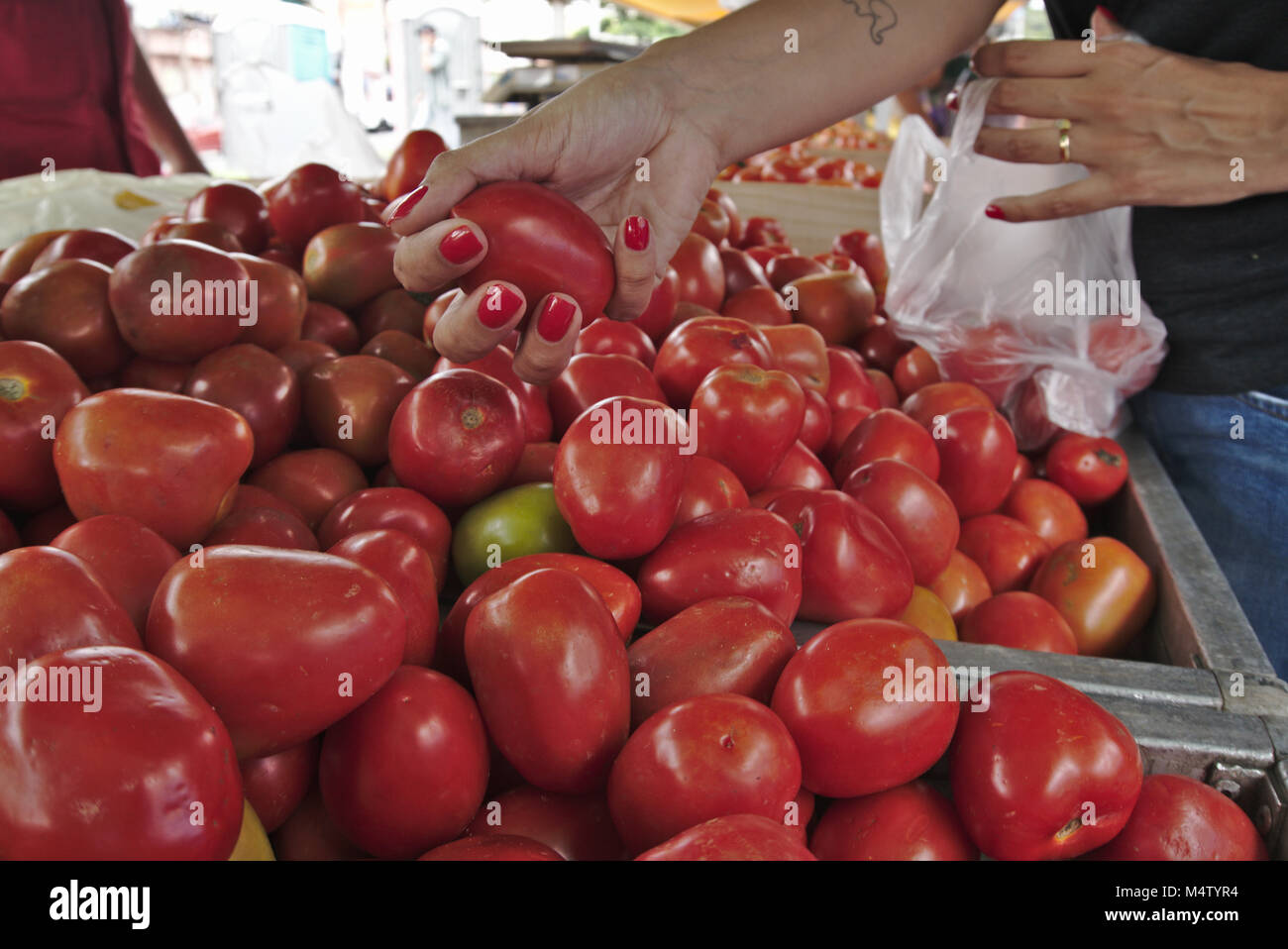 Woman selecting roma tomatoes from a farmers market stall. Stock Photo