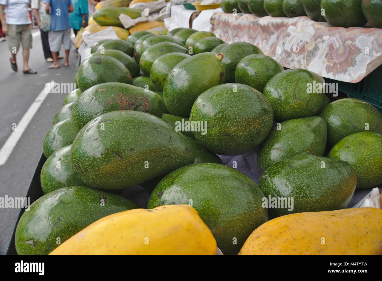 Avocado and papaya on fruit bank at a farmers market stall. Stock Photo
