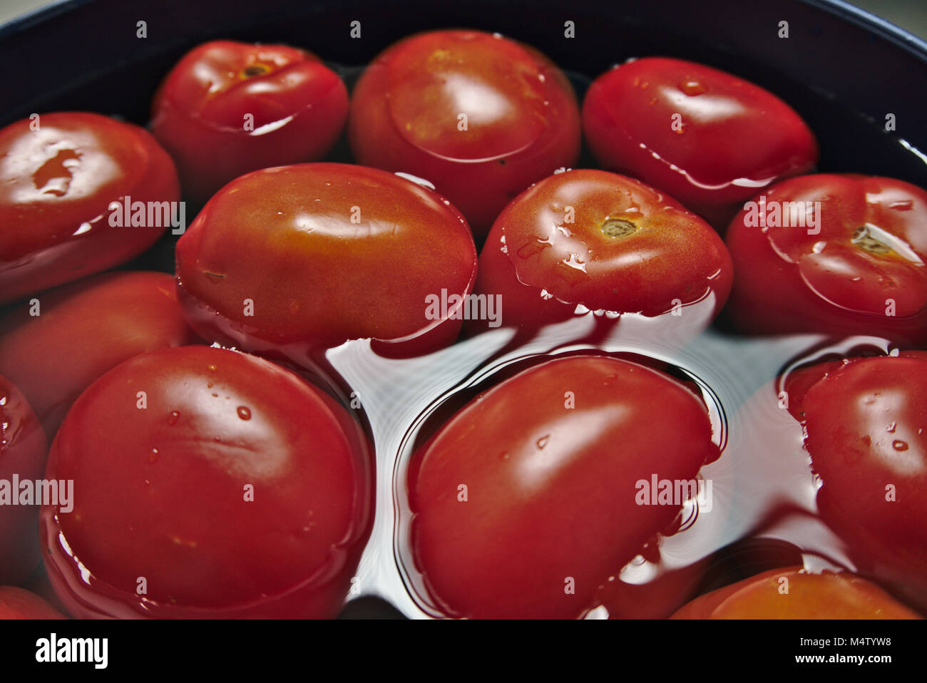 Roma tomatoes floating in the water. Stock Photo