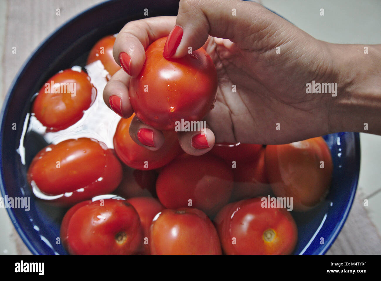 Woman selecting roma tomatoes from water and showing the hand with beautiful red nails. Stock Photo