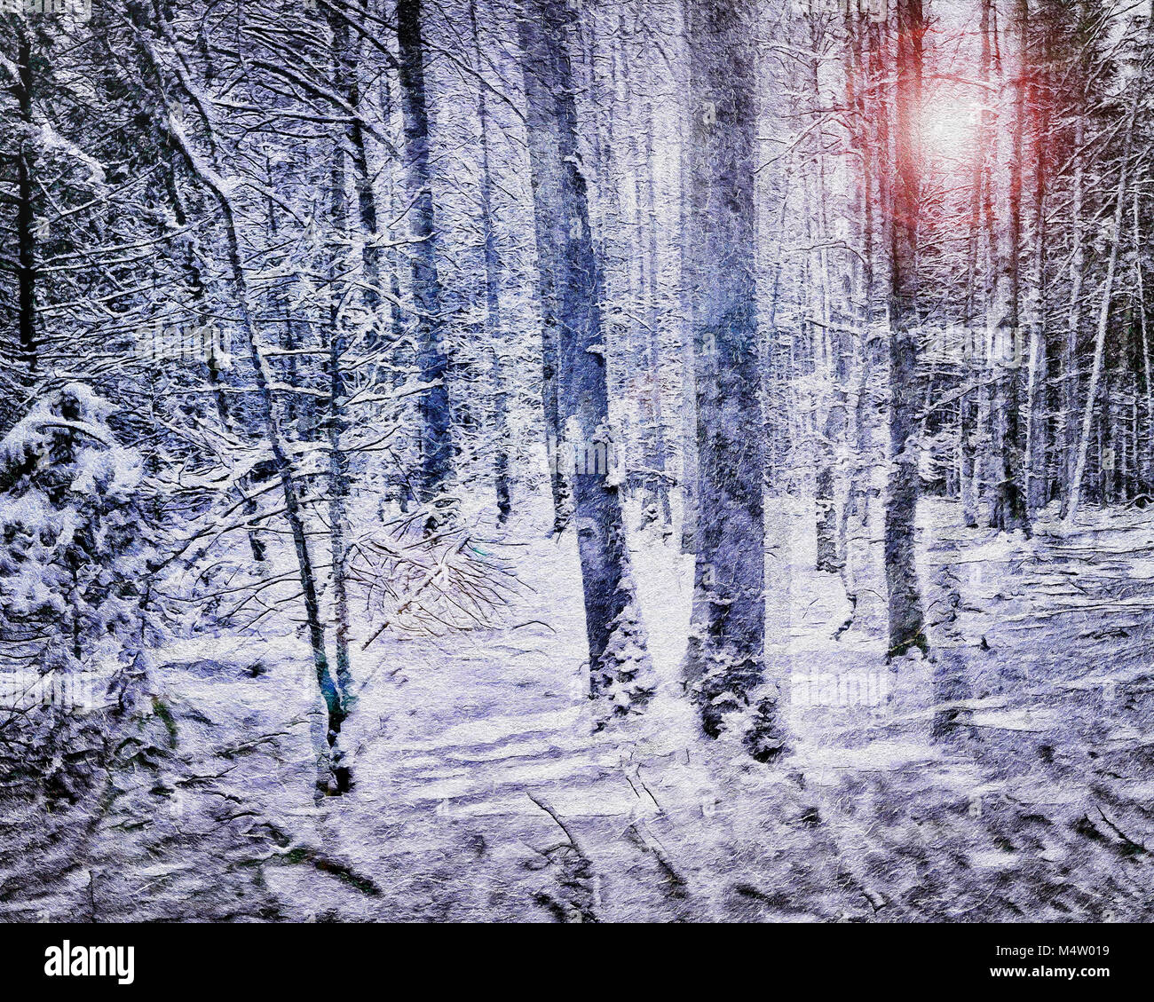 PHOTOGRAPHIC ART: Light in the Forest Stock Photo