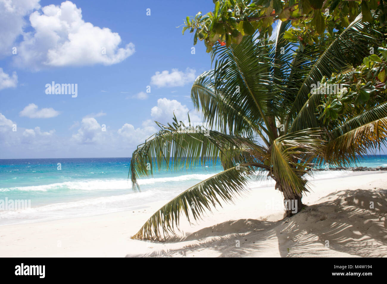 Barbados Beach Stock Photo