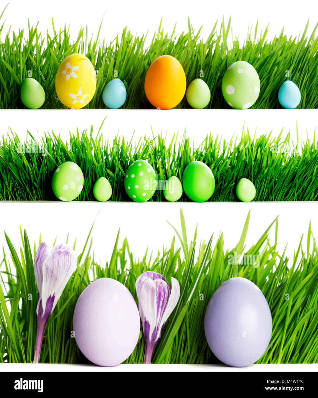 Set of easter eggs in fresh green grass isolated on white background ...