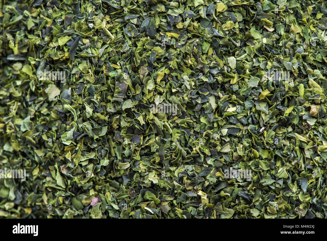 Detail macro of Aonori dried seaweed flakes. Stock Photo