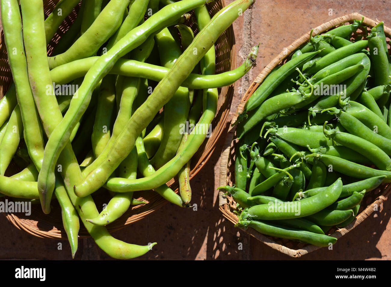 Freshly picked road beans and garden peas, still in their pods, in baskets. Stock Photo