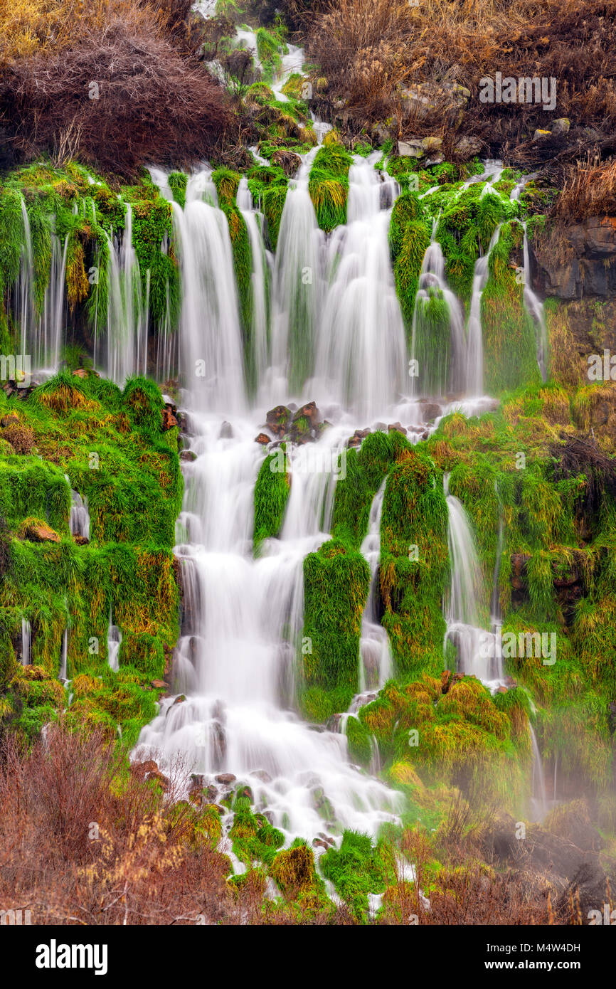 Thousand Springs in Idaho shows water flowing from the side of a cliff forming green grasses Stock Photo