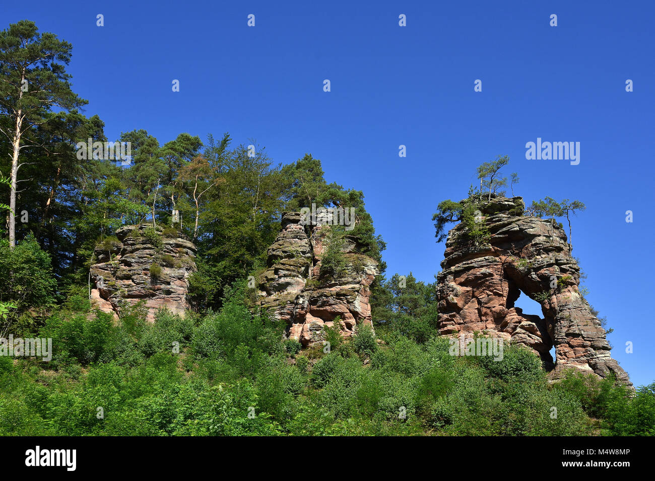 Palatine Forest in Rhineland-Palatinate/Germany; New Red Sandstone ...