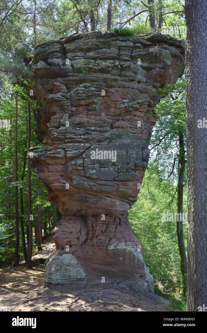 Palatine Forest in Rhineland-Palatinate/Germany; New Red Sandstone ...