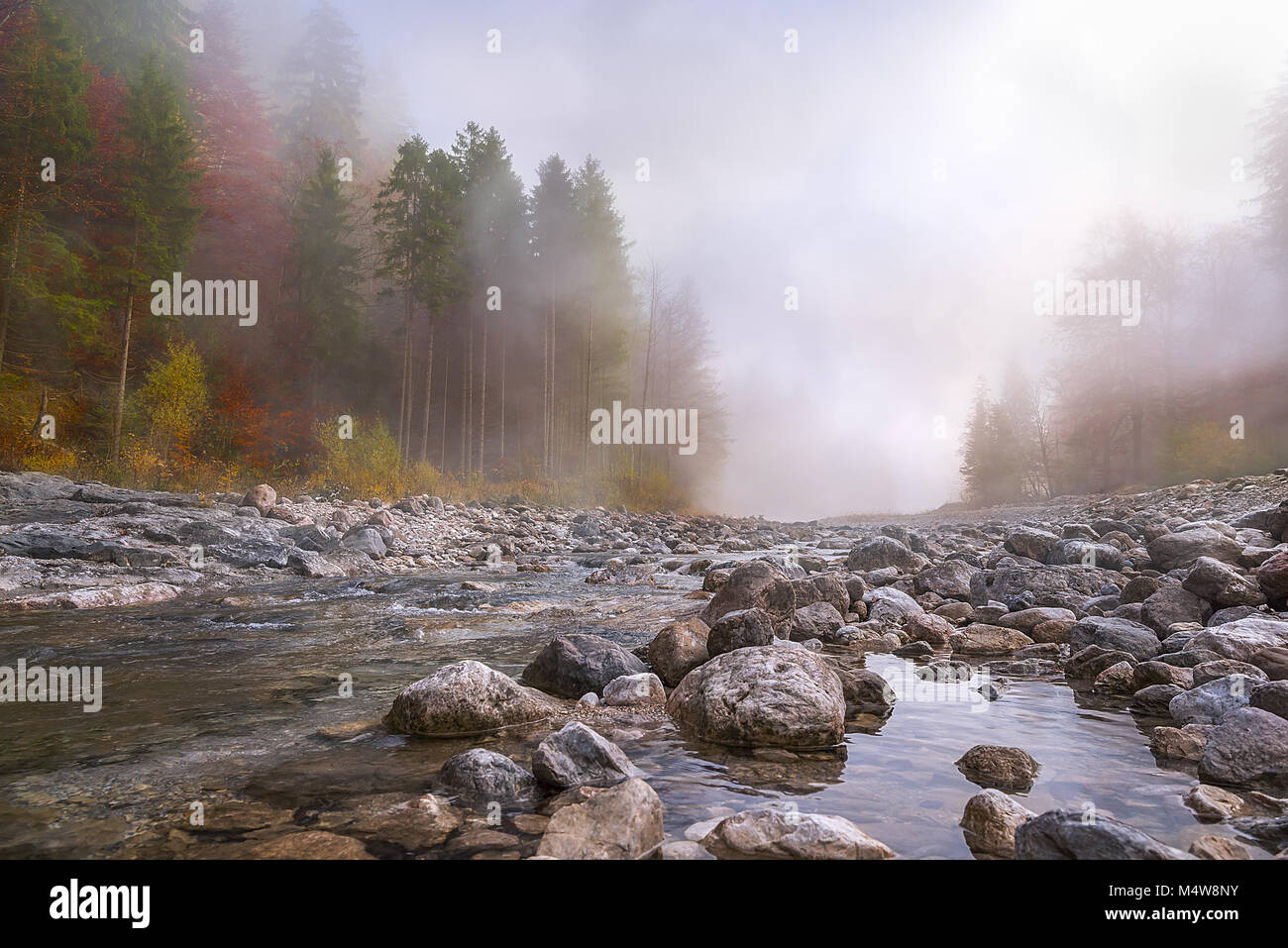 Autumn mist over river and forest Stock Photo