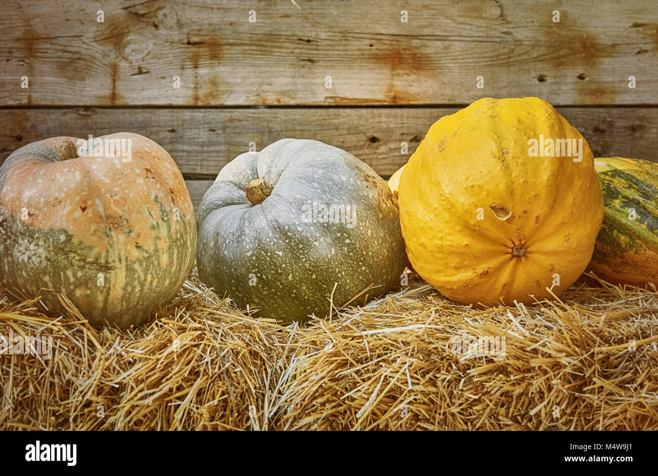Pumpkins on a Hay Stock Photo - Alamy