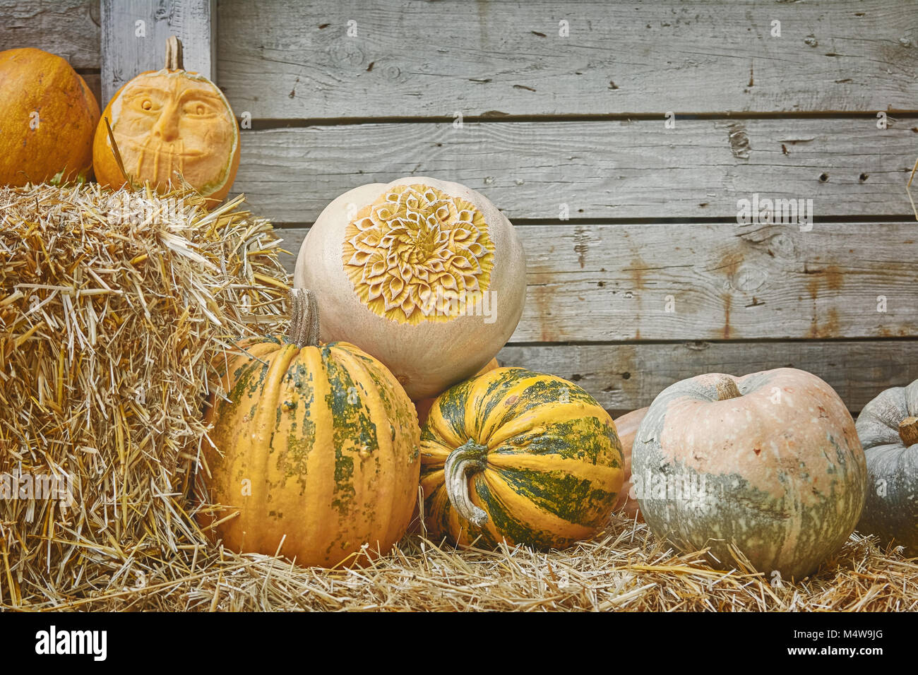 Pumpkins on a Hay Stock Photo - Alamy
