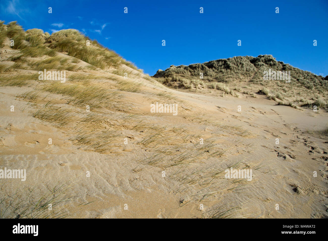 Sand dunes with grass Stock Photo