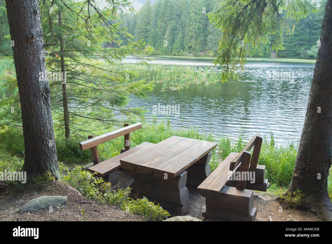 picnic table seating in forest near lake Stock Photo