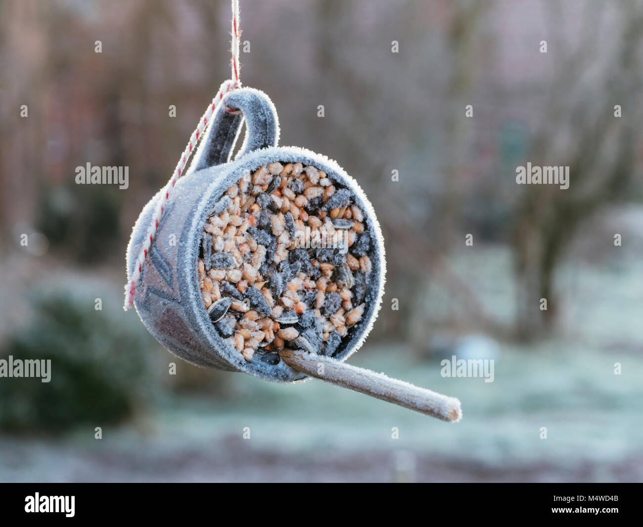 Home Made Bird Feeder Using An Old Coffee Cup In The Morning With