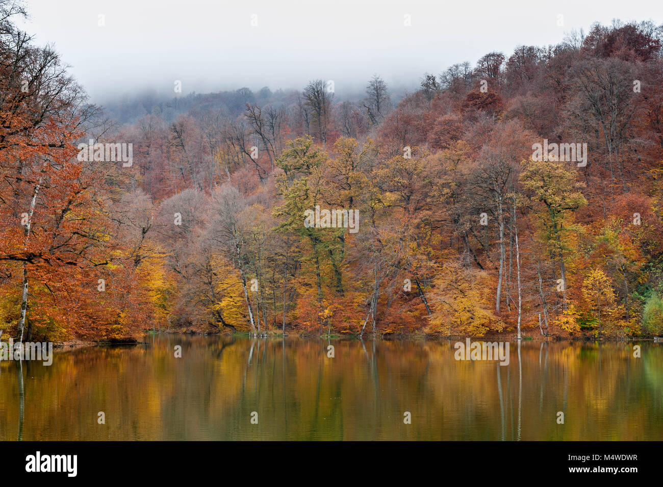 Parz lake dilijan national park hi-res stock photography and images - Alamy