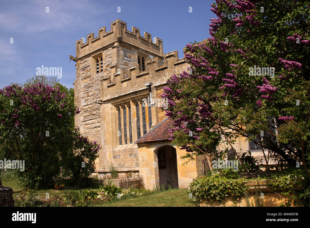 Lilac bushes outside All Saints Church, Weston on Avon, a mainly 15th century grade 1 listed C of E church near Stratford upon Avon. Stock Photo