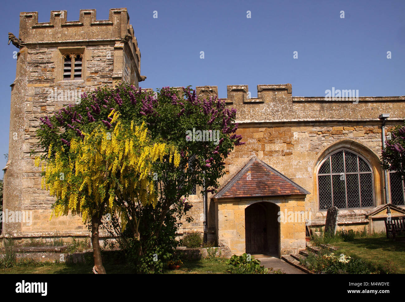 Lilac bushes outside All Saints Church, Weston on Avon, a mainly 15th century grade 1 listed C of E church near Stratford upon Avon. Stock Photo