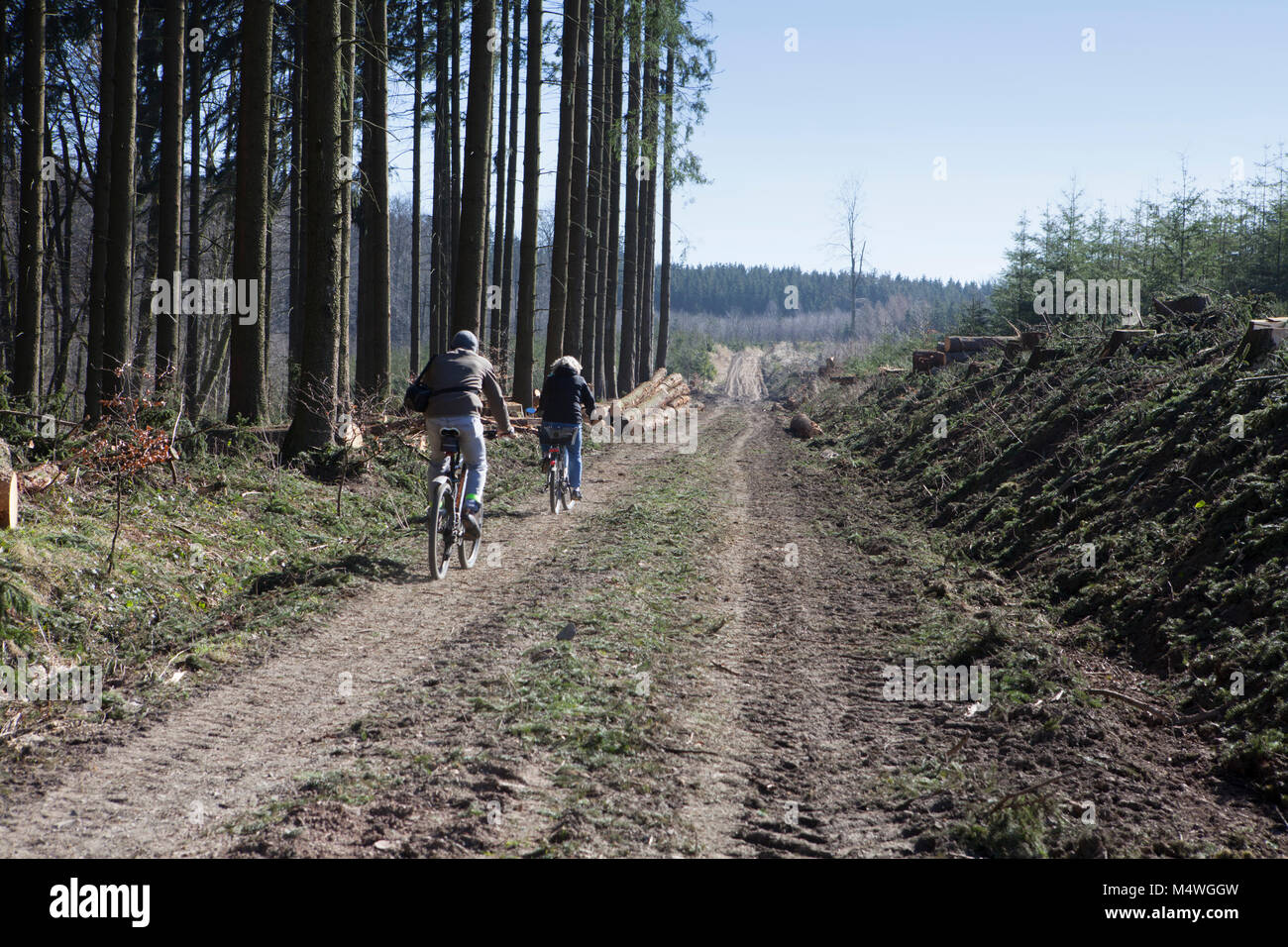 Forestry, Meinerzhagen, North Rhine-Westphalia, Germany, Europe, Waldwirtschaft, Meinerzhagen, Nordrhein-Westfalen, Deutschland, Europa Stock Photo