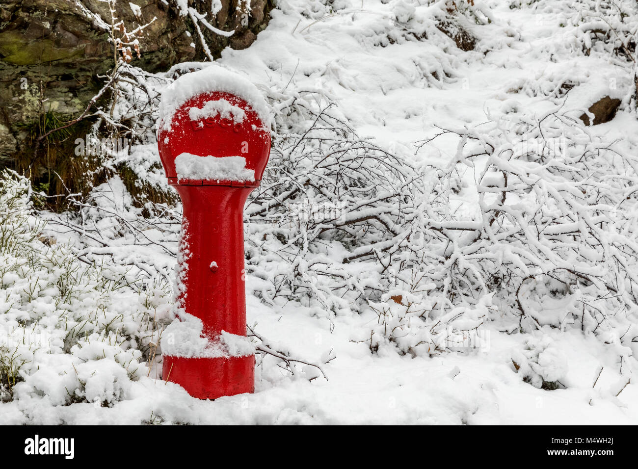 Red fire hydrant covered in snow. Picture taken in winter, snow on the ground. Stock Photo