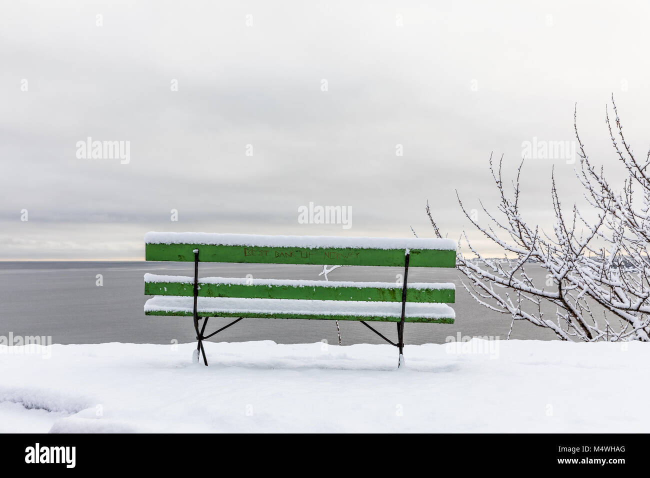 Beautiful winter day at Odderoya in Kristiansand, Norway. Green bench covered in snow. The ocean is seen in the background. Stock Photo