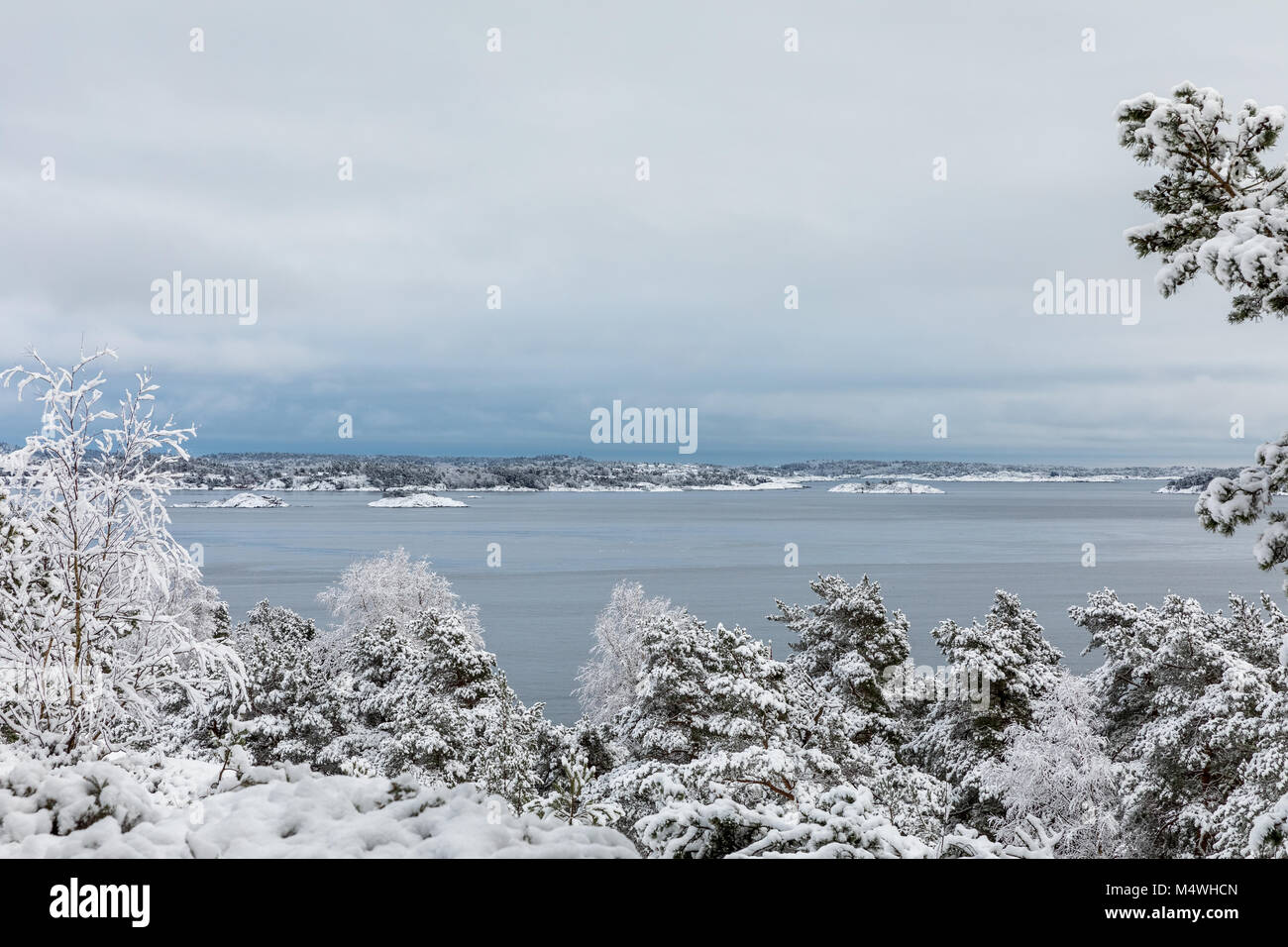 Beautiful winter day at Odderoya in Kristiansand, Norway. Pine trees covered in snow. The ocean and archipelago in the background. Stock Photo