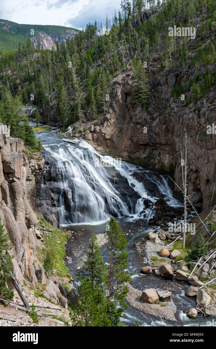 Gibbon Falls on teh Gibbon River with steep forested banks.  Yellowstone National Park, Wyoming. Stock Photo