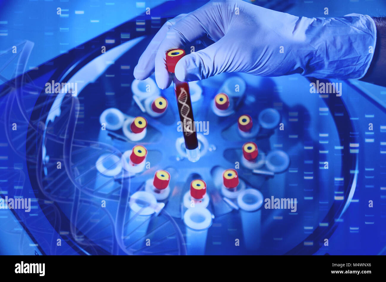 Analysis of dnk. A hand in a medical glove holds a test tube with DNA. Bacteriological studies in the laboratory. Spirals and blood molecules of DNA. Stock Photo
