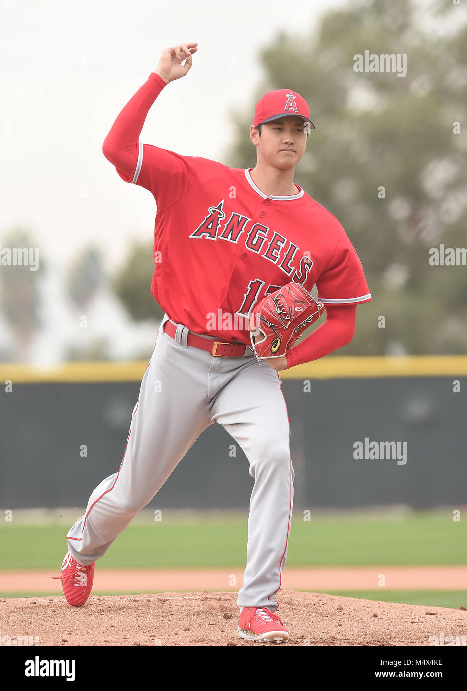 Tempe, Arizona, USA. 16th Feb, 2018. Shohei Ohtani (Angels) MLB Los