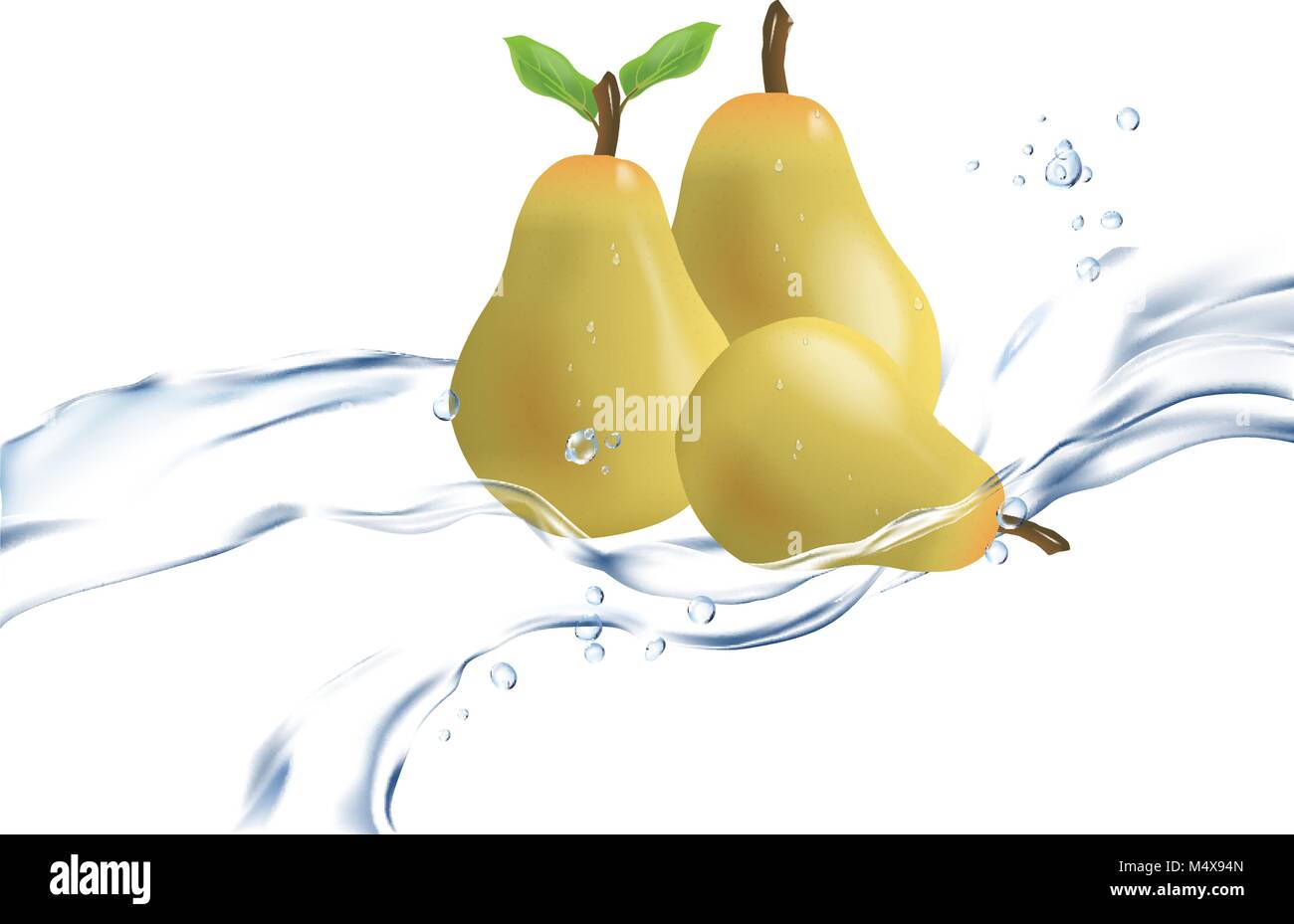 Realistic illustration pear isolated on white background. Flowing water Stock Vector