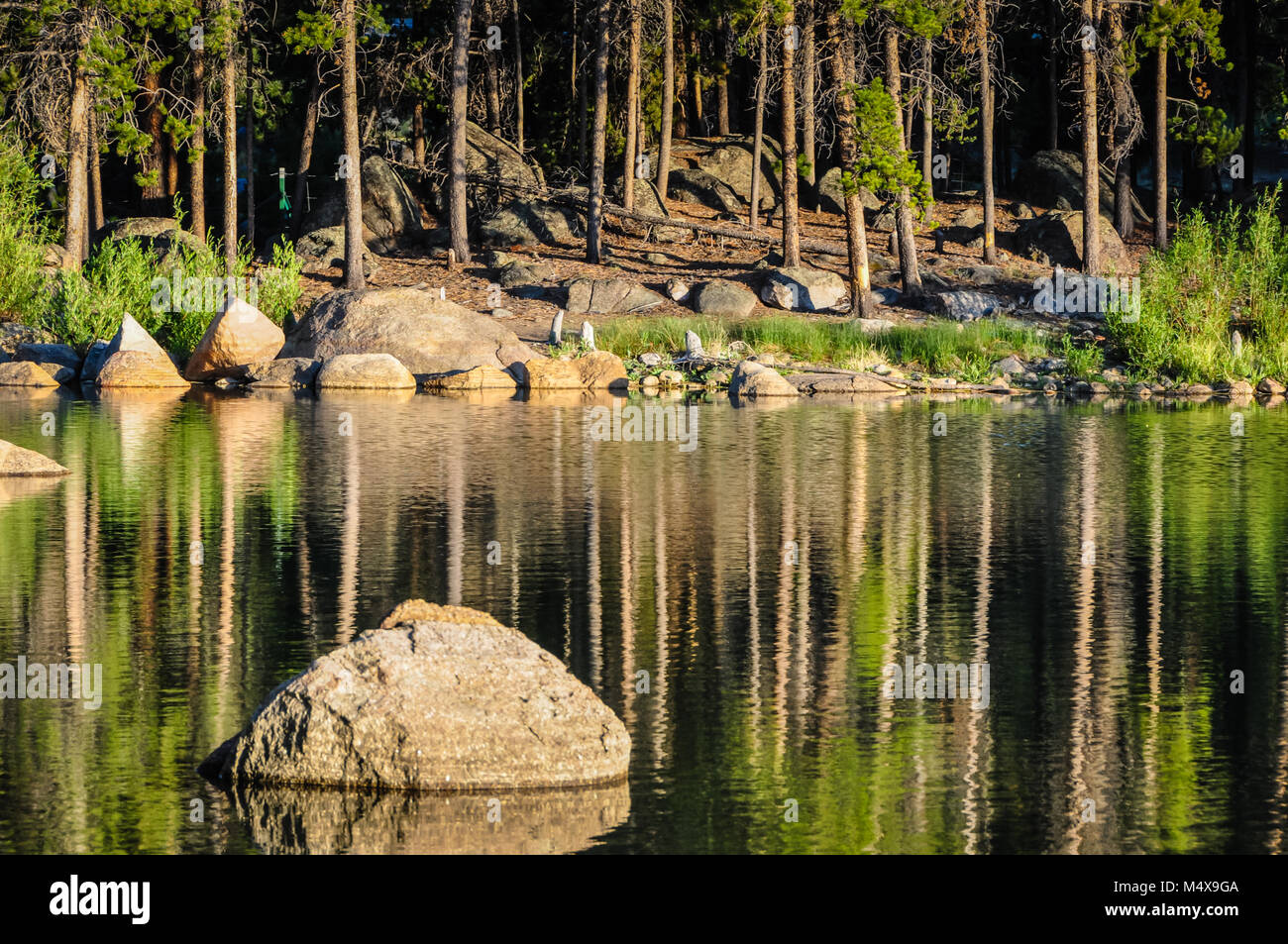 Triangular boulder juts out in a lake that reflects evergreen trees. Stock Photo
