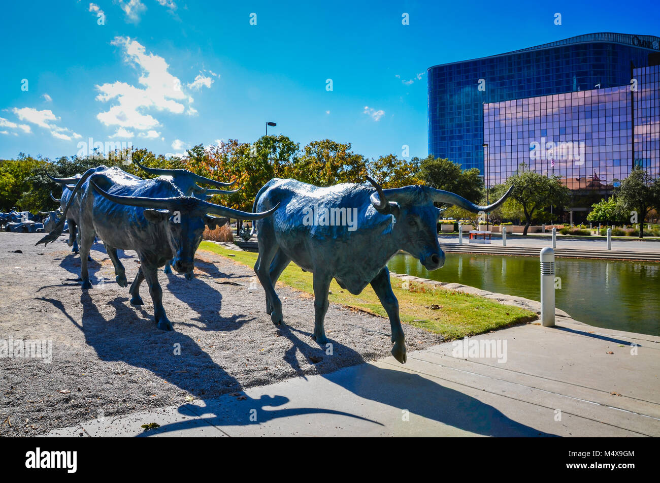 Large statue of longhorn cattle commemorating 19th century Western cattle drives. The statue depicts 49 steers and 3 trail riders and is found in Pion Stock Photo