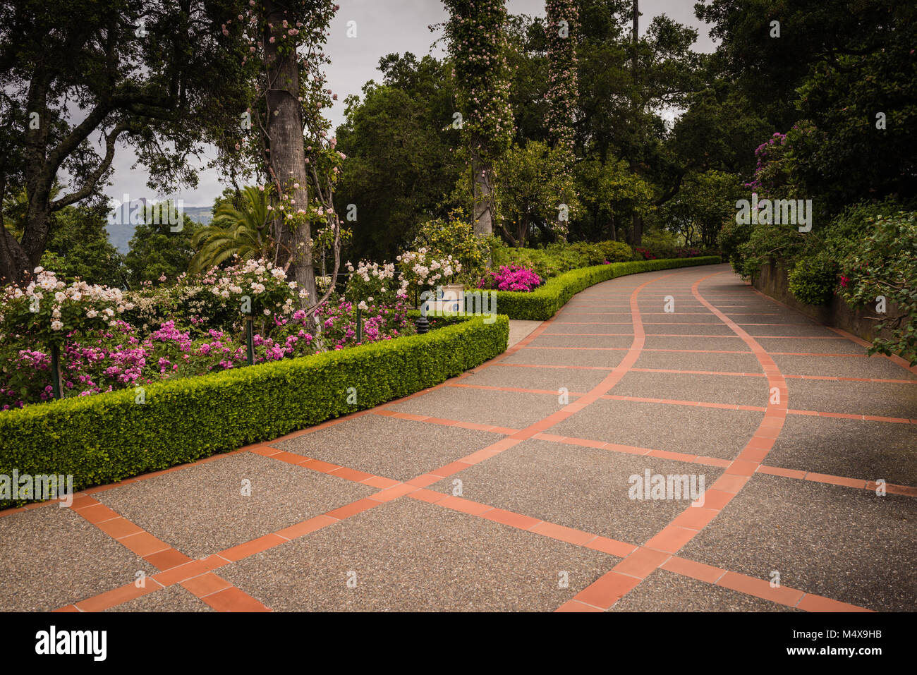 San Simeon, CA. Serpentine garden path, marked by red tile and concrete squares, bordering a perfectly maintained rose garden at Hearst Castle. Stock Photo