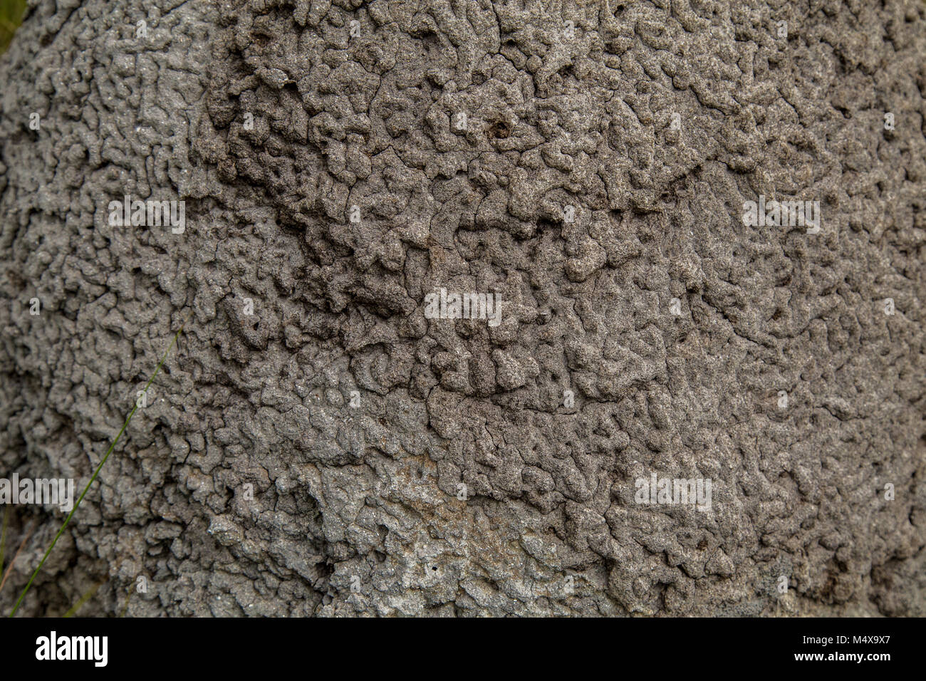 Termite mound house hi-res stock photography and images - Alamy