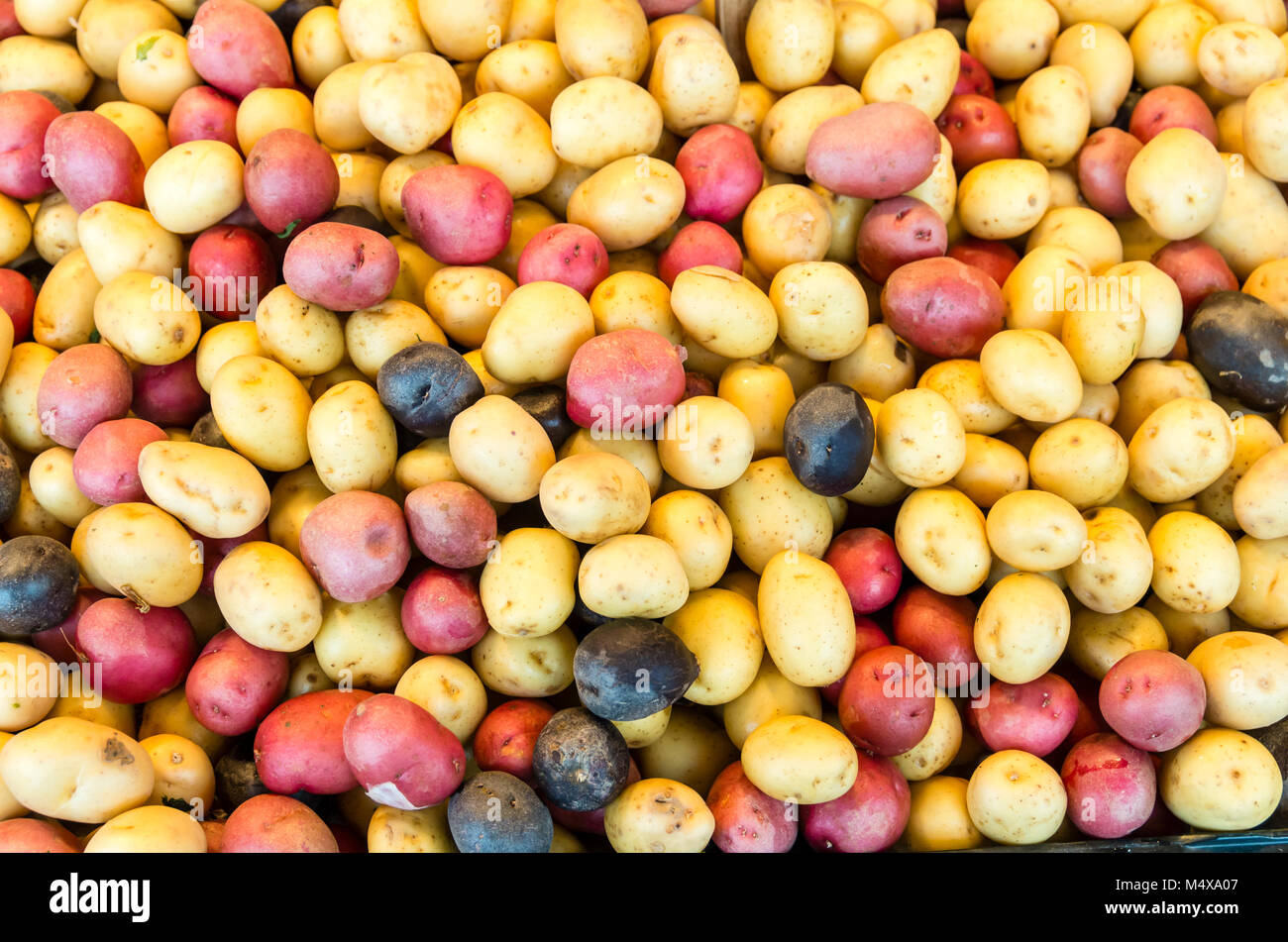 Display of red, white and blue potatoes at a produce market in Pike Place Market.  Seattle, Washington Stock Photo